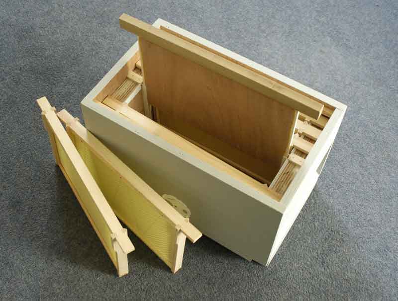 Double sides queen rearing nuc box