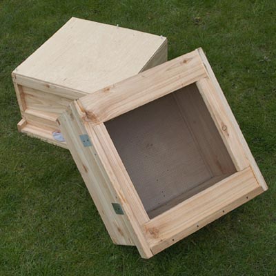 Brood box and open mesh floor
