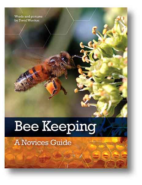 Book Bee Keeping A novices Guide