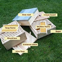 New beehive opened showing frames, supper, brood box, crown board, floor and entrance block 