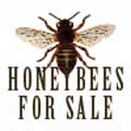 Honey Bees for sale