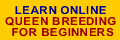 Queen breeding course